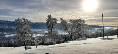 Naturlandschaft in der Nähe der Ferienwohnung