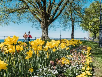 Naturlandschaft in der Nähe der Ferienwohnung