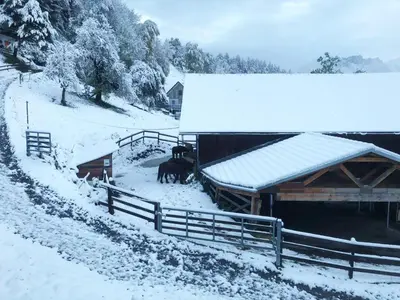 Hotel Garni Brigitte im Winter