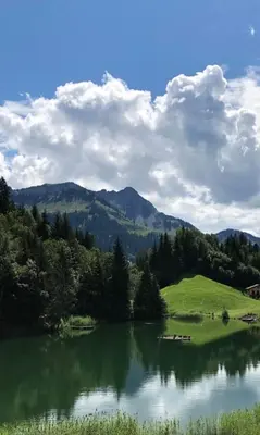 Naturlandschaft in der Nähe der Ferienwohnung