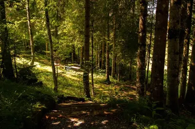 Naturlandschaft in der Nähe der Ferienwohnung