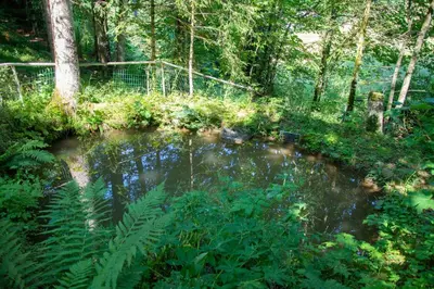 Naturlandschaft in der Nähe der Ferienwohnung
