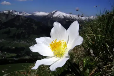 Ein allgemeiner Bergblick oder ein Berglick von der Ferienwohnung aus