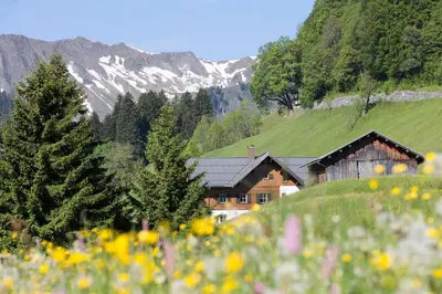 Naturlandschaft in der Nähe der Ferienwohnung