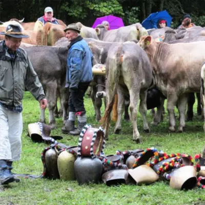 Tiere in der Ferienwohnung oder in der Nähe