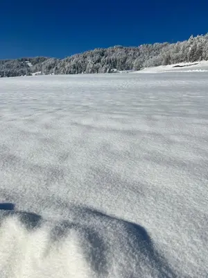 Panorama Appartements im Winter
