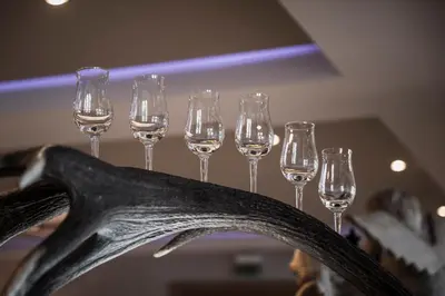 Getränke in der Unterkunft Verwöhn-Wellnesshotel Walserhof