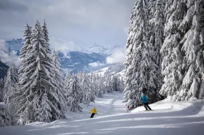 Chalet 1593 im Winter