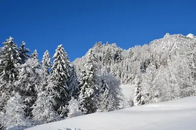 Ferienwohnung Freiraum im Winter