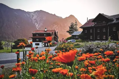 Naturlandschaft in der Nähe der Ferienwohnung