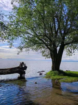 Naturlandschaft in der Nähe der Ferienwohnung