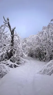 Adventure Panorama 
