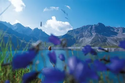Naturlandschaft in der Nähe des Ferienhauses