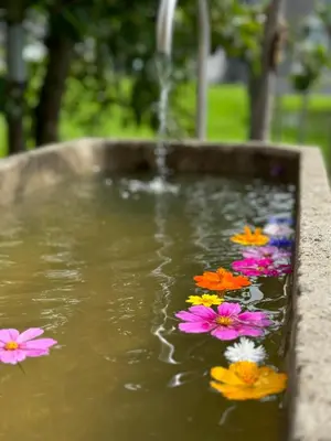 Ein Garten an der Unterkunft Bregenzerwälderhaus Ambros