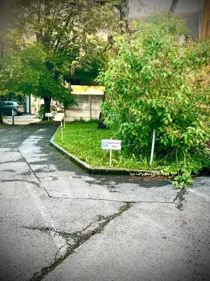 Die Umgebung um die Ferienwohnung