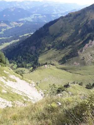 Naturlandschaft in der Nähe der Ferienwohnung