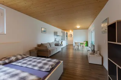 Ein Bett oder Betten in einem Zimmer der Unterkunft FLEXhome your central, calm and cosy place in Dornbirn