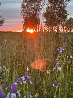 Blick auf den Sonnenuntergang/Sonnenaufgang von der Ferienwohnung aus oder aus der Nähe