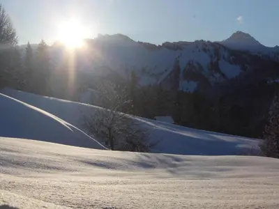 Grundriss der Unterkunft Dog-friendly chalet in Bregenzerwald