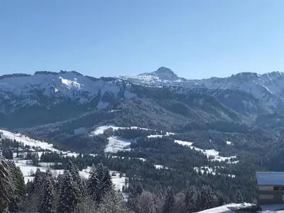 Grundriss der Unterkunft Dog-friendly chalet in Bregenzerwald