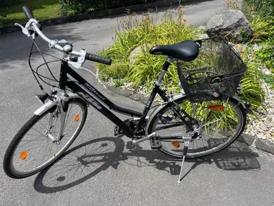 Radfahren an der Unterkunft Rheinblick Ferienwohnung oder in der Nähe