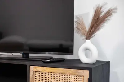 TV/Unterhaltungsangebot in der Unterkunft Charmante Altbau Wohnung Bregenz am See