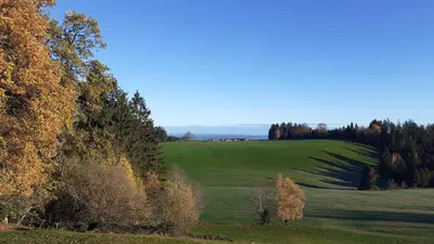 Naturlandschaft in der Nähe der Ferienwohnung
