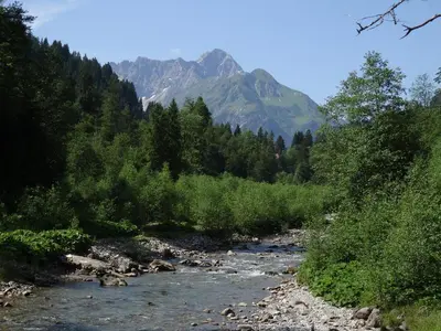 Naturlandschaft in der Nähe der Ferienwohnung