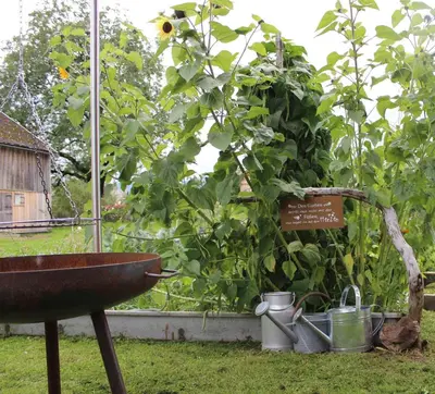 Ein Garten an der Unterkunft Bauernhof Hammerer