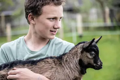 Tiere in der Ferienwohnung oder in der Nähe