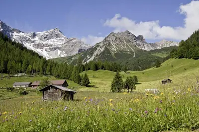 Naturlandschaft in der Nähe der Ferienwohnung