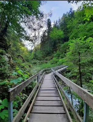 Naturlandschaft in der Nähe der Ferienwohnung