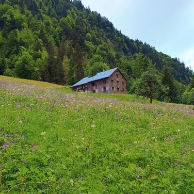 Ferienhütte See 4