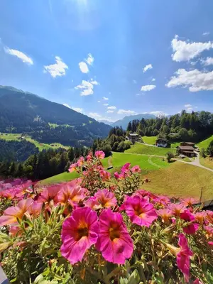 Naturlandschaft in der Nähe der Ferienwohnung