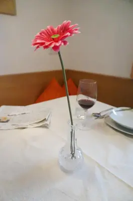 Getränke in der Unterkunft Haus Schwendinger