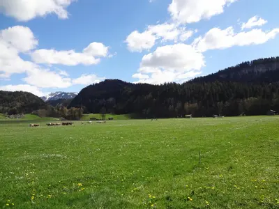 Naturlandschaft in der Nähe der Ferienwohnung