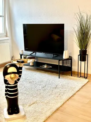 TV/Unterhaltungsangebot in der Unterkunft Wohnen direkt am Bregenzer Hafen