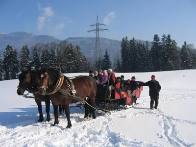 Gäste, die in der Unterkunft Dorfblick, Ferienwohnung übernachten