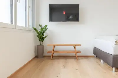 TV/Unterhaltungsangebot in der Unterkunft Säntisblick Apartment