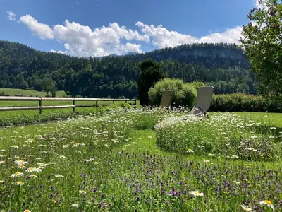 Naturlandschaft in der Nähe der Ferienwohnung
