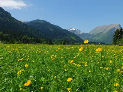 Naturlandschaft in der Nähe des Privatzimmers
