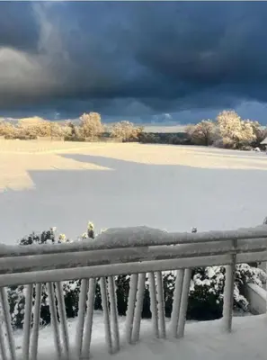 Seeblick Bodensee 8 Free Parking Free Internet im Winter