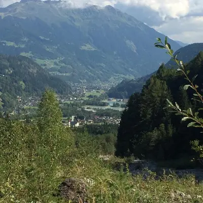 Naturlandschaft in der Nähe der Ferienwohnung