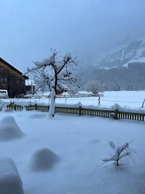 Naturlandschaft in der Nähe der Ferienwohnung