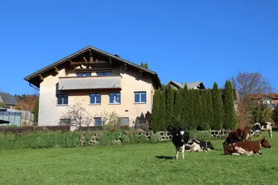 Tiere in der Ferienwohnung oder in der Nähe