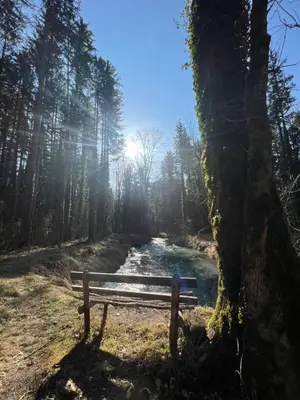 Naturlandschaft in der Nähe der Ferienwohnung