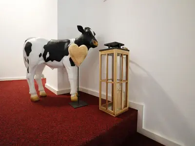 Tiere in der Ferienwohnung oder in der Nähe