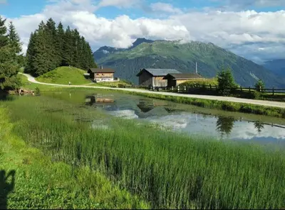 Naturlandschaft in der Nähe des Ferienhauses