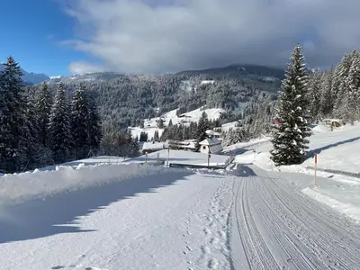 Holiday apartment with 0 bedrooms im Winter