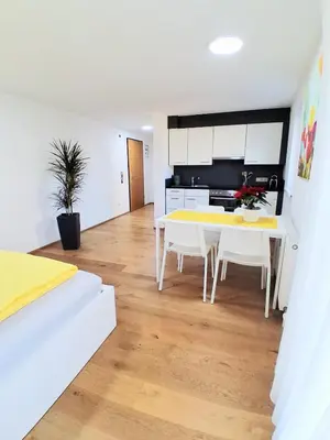 Küche/Küchenzeile in der Unterkunft Top18 Apartmenthaus Sonnenschein